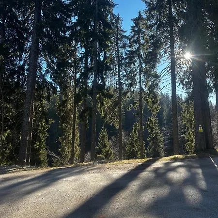 Winter Lotos Apartamento Pamporovo