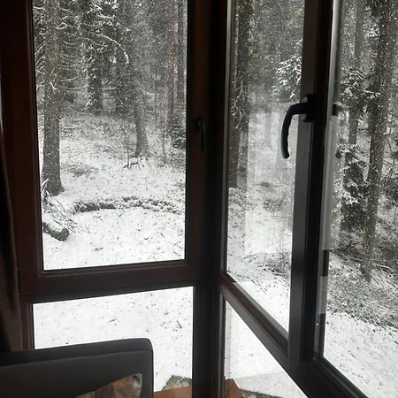 Apartment Winter Lotos