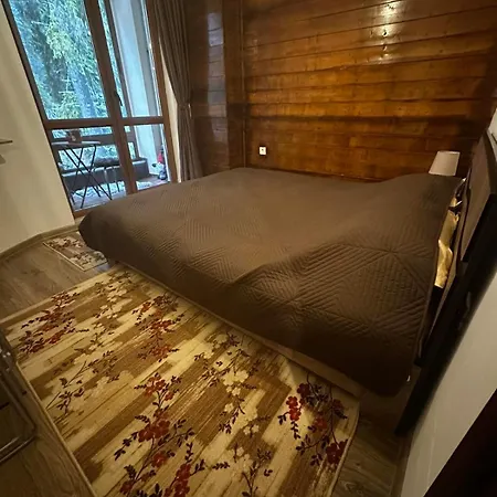 Winter Lotos Apartment