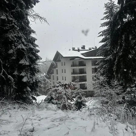 Winter Lotos Apartment