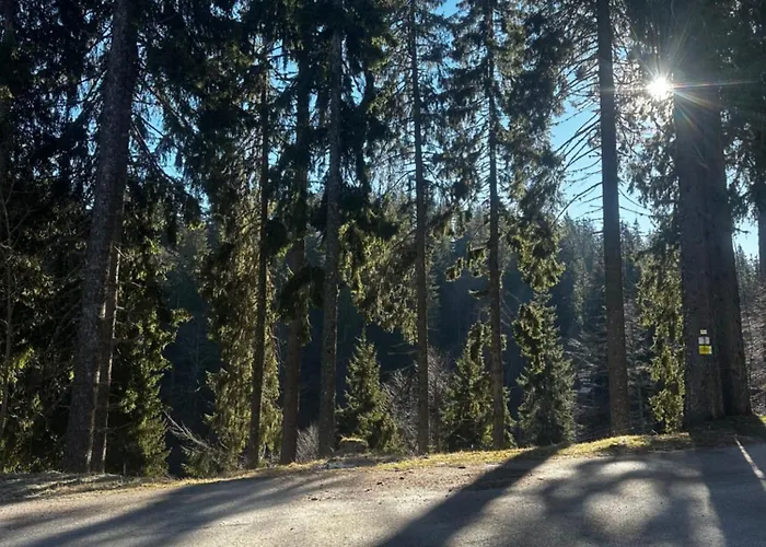 Winter Lotos 公寓 潘波洛沃